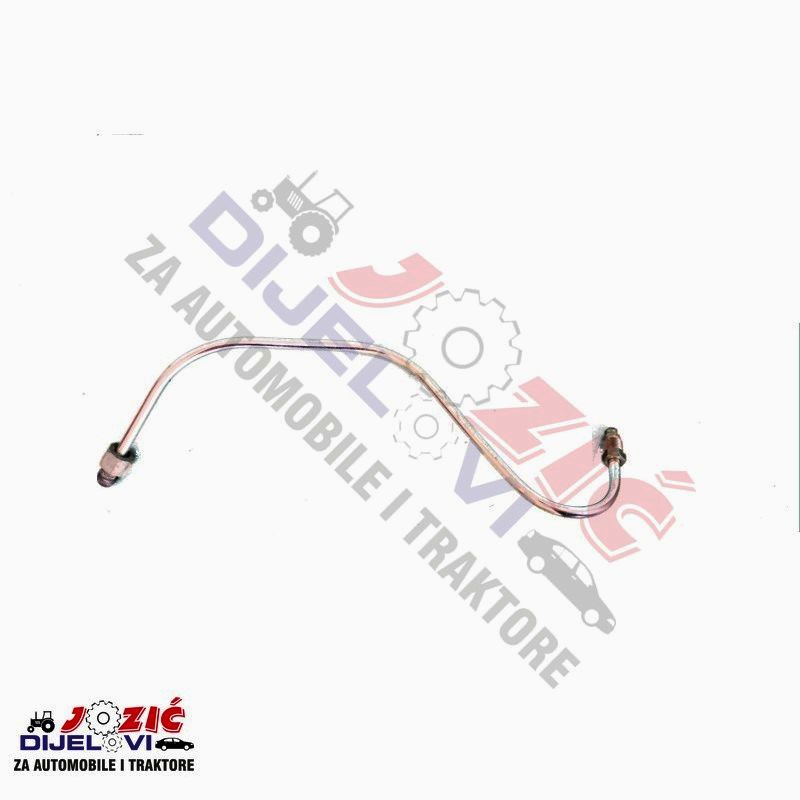 Daisy on the Ohoopee